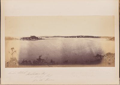 Garden Island, Rushcutters Bay et Darling Point depuis le domaine - Unknown artist