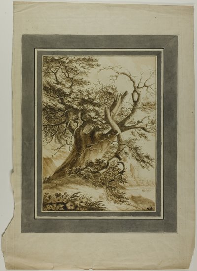 Chêne géant - Unknown artist