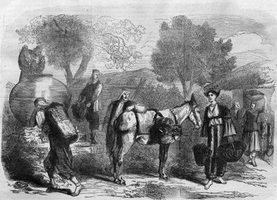 Vendanges à Chypre - Gravure dans « Le Journal Illustré » - Unknown artist