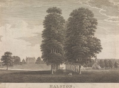 Halston; page 22 (Volume Deux) - Unknown artist