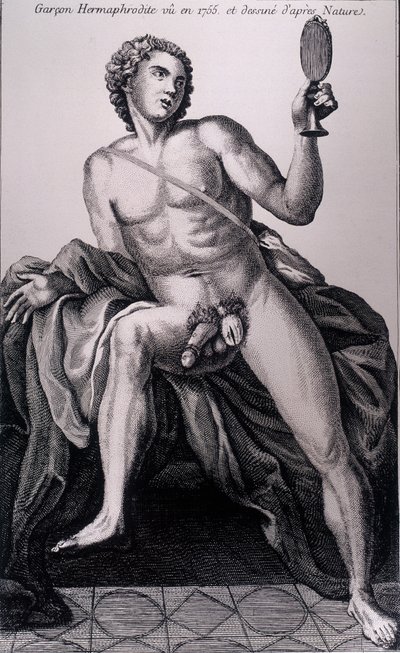 Garçon hermaphrodite vu en 1755 et dessiné d