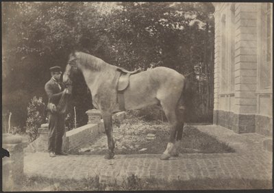 [Le cheval et l