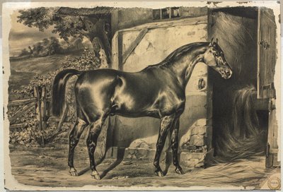 Cheval devant une grange (verso) - Unknown artist