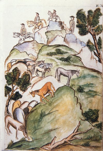 Gardiens de chevaux encerclant des juments dans les montagnes pour les attraper, du livre "Trujillo del Peru" ou "Códice Martínez Compañón", par Baltazar Martinez Compañón y Bujanda, évêque de Trujillo (1782-1785) - Unknown artist