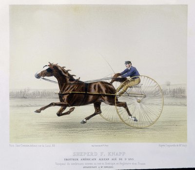 Équitation : Berger F. Knapp, trotteur - dans "le Centaure" - Unknown artist