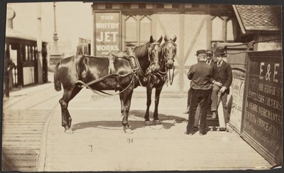 [Chevaux à l
