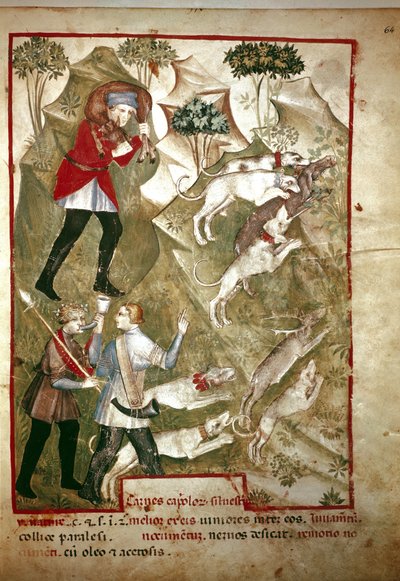 Chasse (Miniature, 14e siècle) - Unknown artist