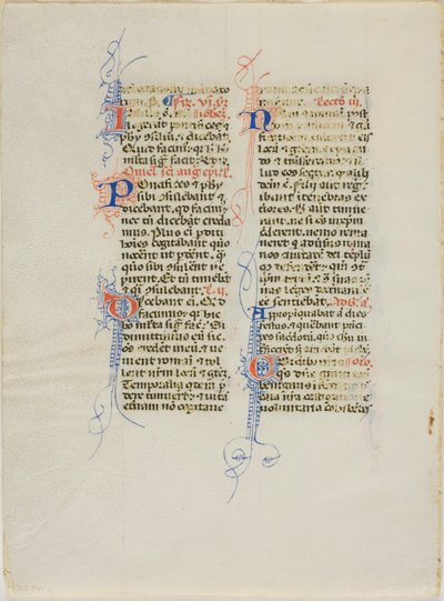 Feuille de manuscrit enluminée - Unknown artist