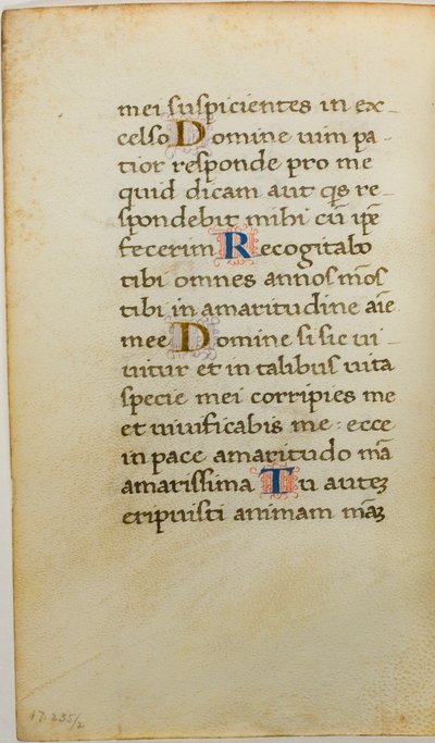 Feuille de manuscrit enluminée - Unknown artist