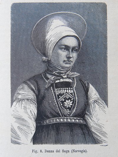 Illustration de "La race humaine" par Louis Figuier - Unknown artist