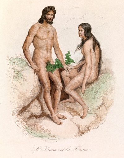 Illustration tirée du livre "Œuvres complètes de Buffon" : Histoire naturelle de l
