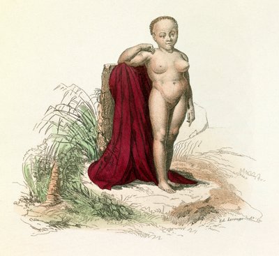 Illustration tirée du livre "Œuvres complètes de Buffon" : Histoire naturelle de l