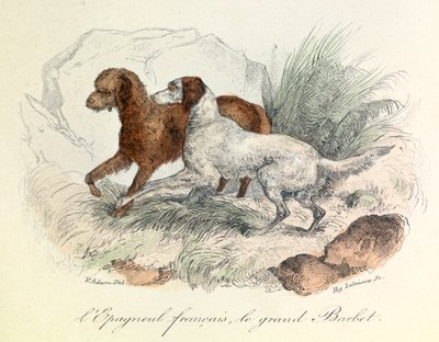 Illustration de l