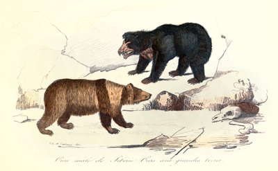 Illustration de l