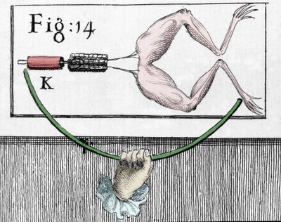 Illustration des expériences de Luigi Galvani, physicien et médecin italien (1737 - 1798) expliquant le passage du courant électrique déplaçant les pattes d