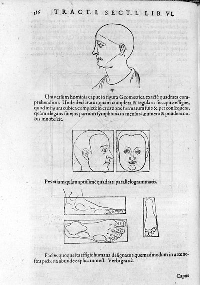 Image de la physiognomonie de "Collectio Operum" par Robert Fludd (Robertus de Fluctibus). Londres 1617 - Unknown artist