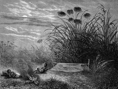 À Masoumbo : moustiquaire de Livingstone - « Dernier voyage de Livingstone 1866-1873 » dans « Tour du Monde », 2ème semestre 1875 - Unknown artist