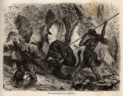 Ticuna indien (Pérou) attaquant avec une lance un tigre qui vient de sauter dans son canoë et a blessé son compagnon, les ticunas de la rivière Nhamondas sont réputés pour leurs femmes guerrières, donc les premiers voyageurs et savants à les observer les o - Unknown artist