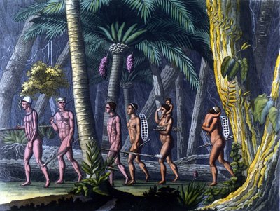 Indiens Puris dans la forêt (Brésil) - dans « Le costume ancien et moderne » par Ferrario, éd. Milan - Unknown artist