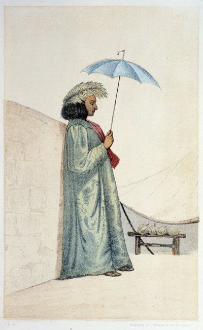 Indigène d