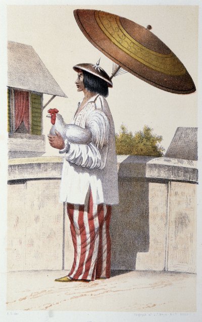 Indigène d