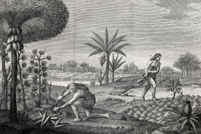Indigènes travaillant la terre dans le bassin de l