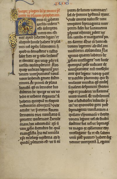 Habité Initial N - Unknown artist