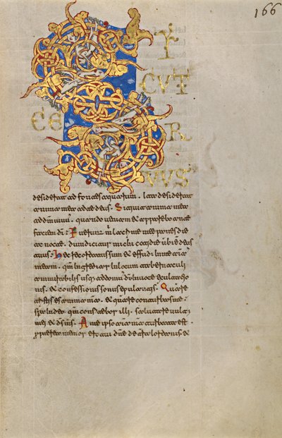 Habité Initial S - Unknown artist
