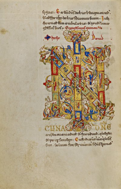 Initiales habitées IN - Unknown artist