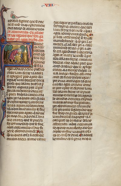 Initiale A : Deux hommes creusant dans un champ - Unknown artist