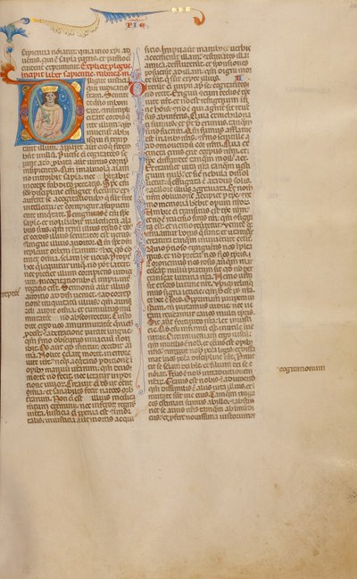 Initiale D : Salomon à l