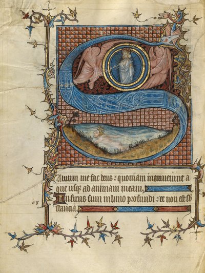 Initial S : David dans l