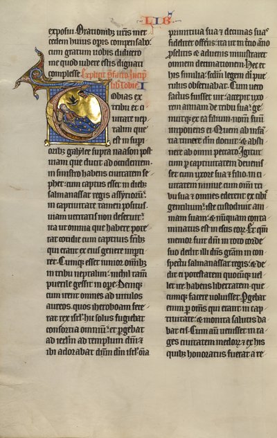 Initial T : L
