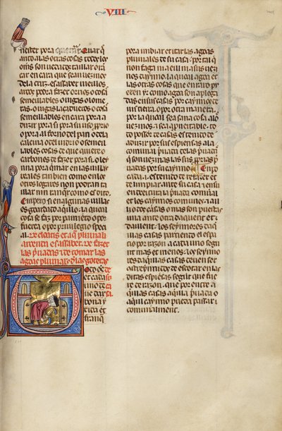 Initial T : Deux hommes qui creusent - Unknown artist