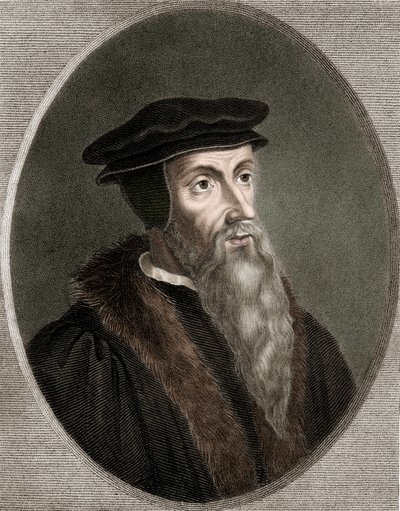 Jean Calvin 1509-1564 - gravure - 19ème siècle - Unknown artist
