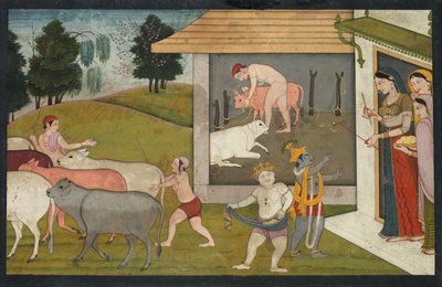 Krishna et Balarama emmenant les vaches paître, du Bhagavata Purana - Unknown artist