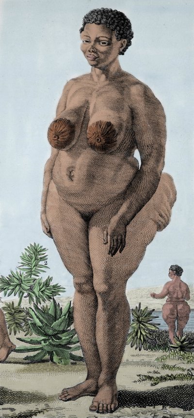 La Vénus Hottentote, femme de race Bochiman; gravure de 1815. - Unknown artist