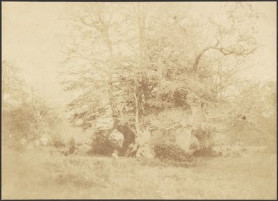 [Paysage] - Unknown artist