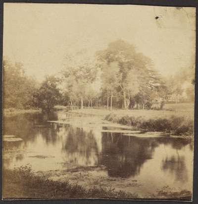 [Paysage avec étang] - Unknown artist