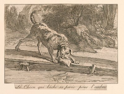 "Le chien qui lâche sa proie pour l