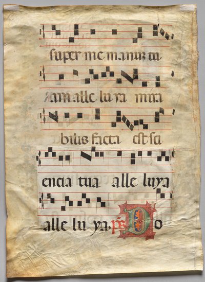 Feuille d