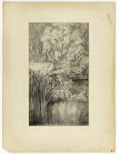 Petit étang dans les bois - Unknown artist