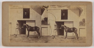 [Homme tenant le cheval par la bride] - Unknown artist