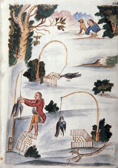 Méthode pour attraper les oiseaux au lasso, du livre "Trujillo del Peru" ou "Códice Martínez Compañón", par Baltazar Martinez Compañón y Bujanda, évêque de Trujillo (1782-1785) - Unknown artist