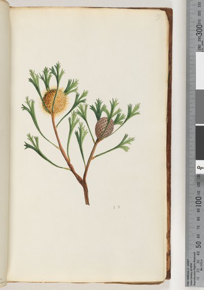 Page 19. Givee en - Unknown artist