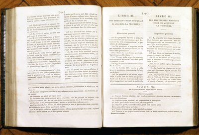 Pages du Code civil de Napoléon. en français et italien - Unknown artist