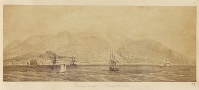 [Panorama du port, Funchal, Madère] - Unknown artist