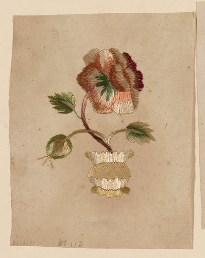 Modèle - Unknown artist