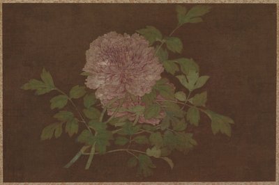 Pivoines - Unknown artist