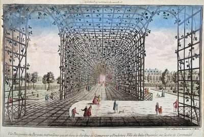 Vue en perspective du berceau merveilleux qui se trouve dans le jardin du Gouverneur à Pondichéry, ville des Indes orientales sur la côte de Coromandel - gravure - Unknown artist